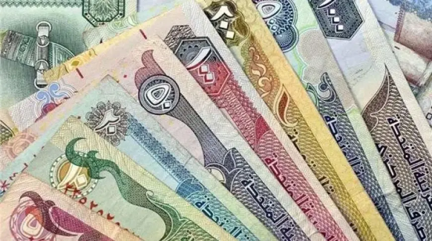 أسعار العملات اليوم في السوق السوداء وداخل البنوك المصرية مقابل الجنيه المصري الاحد 13 اكتوبر 2024