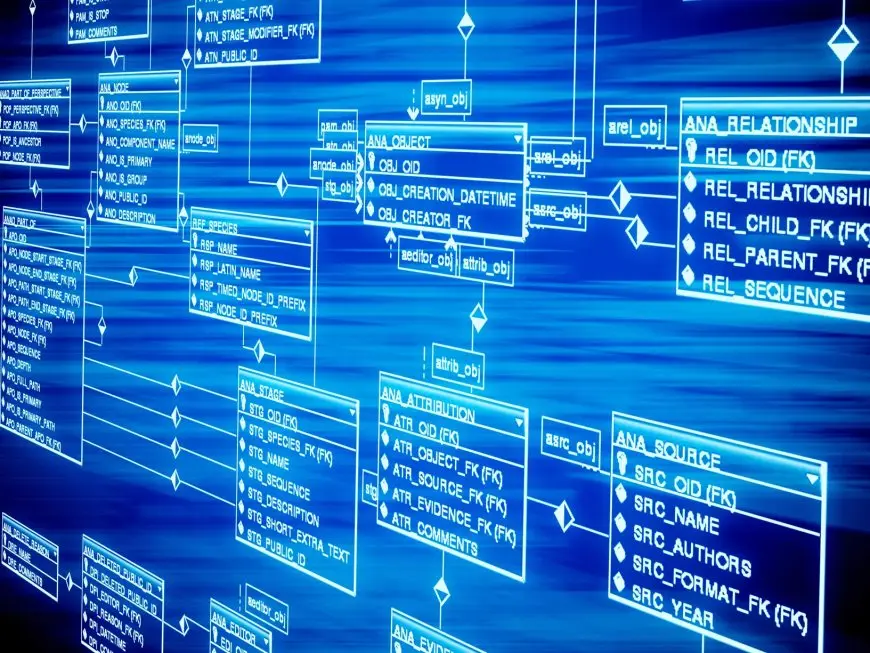 أنواع البيانات في قواعد البيانات SQL