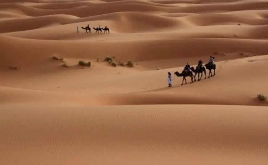 الخرعان وش يرجعون.. أصل قبيلة الخرعان