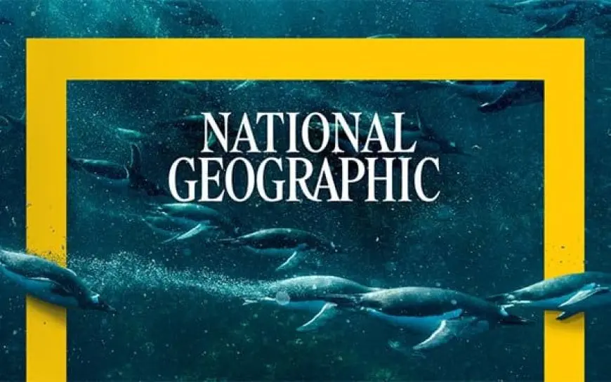 تردد national geographic abu dhabi على النايل سات 2024 HD