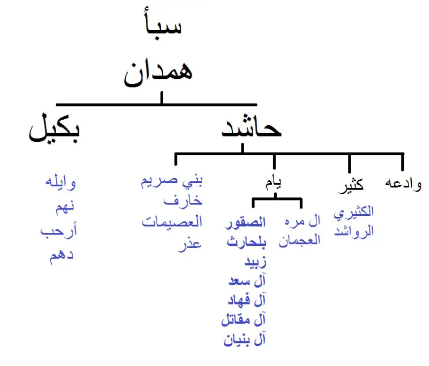 قبيلة الصيعري وش يرجعون