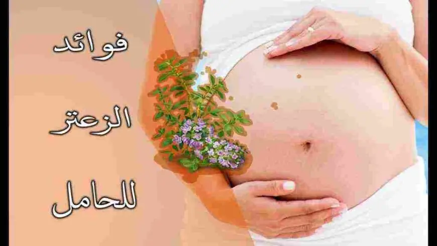 فوائد الزعتر للحامل