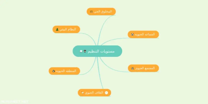 مستويات التنظيم في المخلوقات الحية