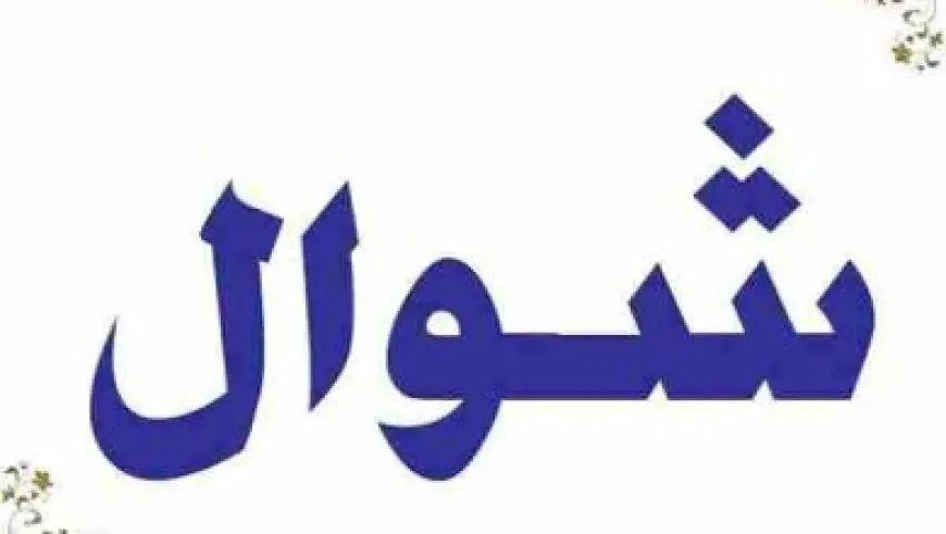 من هو مكتشف الكهرباء