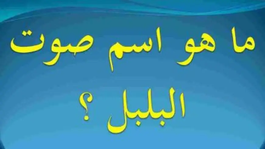 ماذا يسمى بيت الدجاج