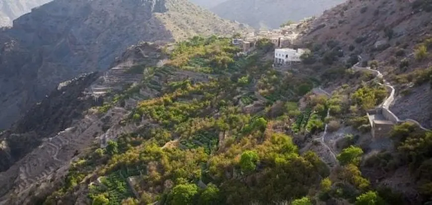 كم يبلغ ارتفاع الجبل الأخضر في عمان