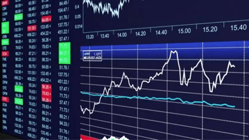 استثمار 1000 جنيه في البورصة