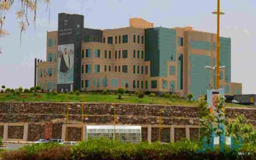 جامعة الملك خالد دليل التخصصات